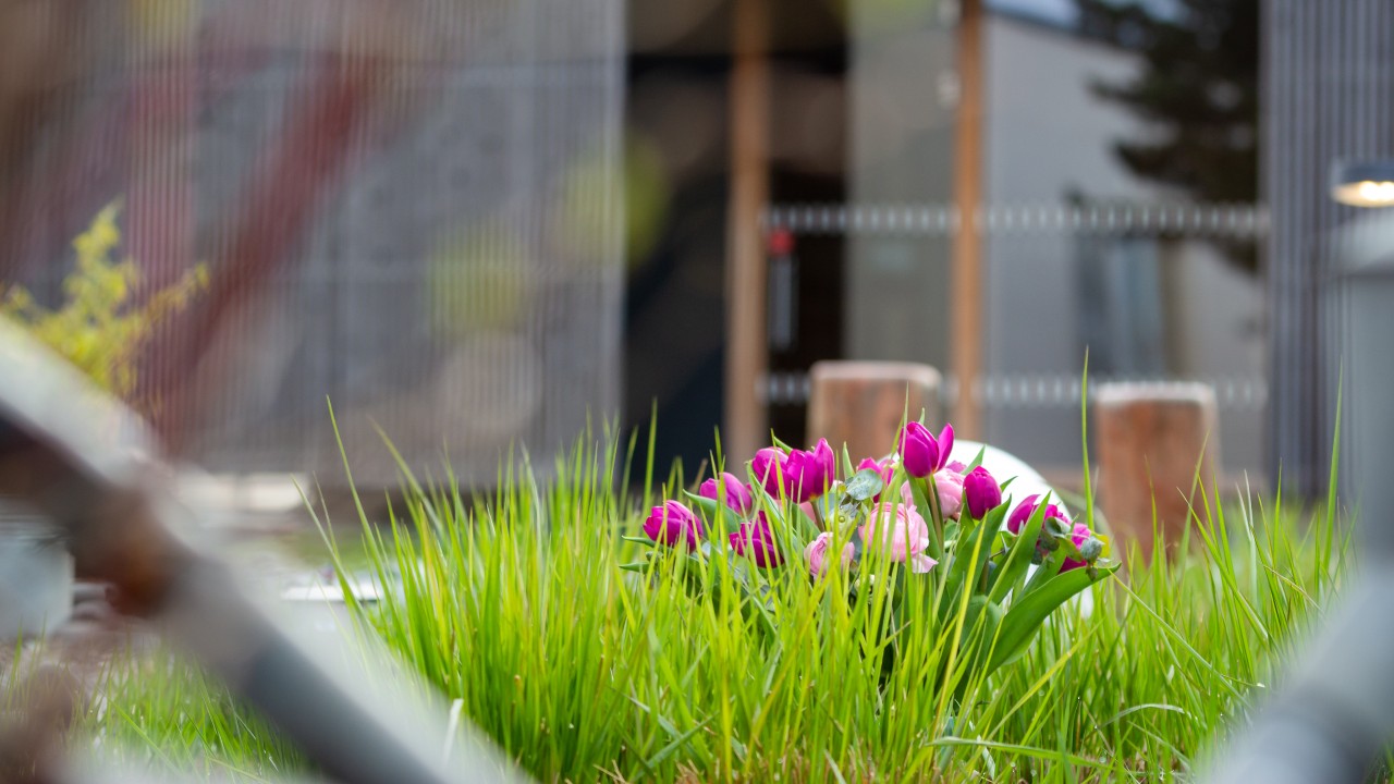 Frühlingsstrauß mit rosa Blüten auf der grünen Wiese vom blu Saunagarten, © Nils Schulz