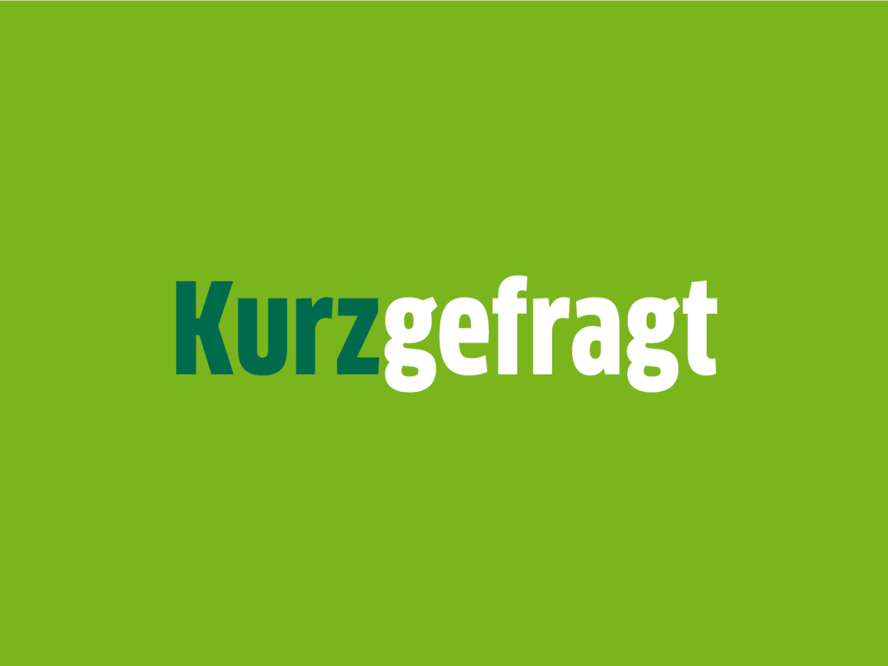 Schriftzug Kurzgefragt auf grünem Hintergrund