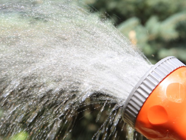 Blumen gießen mit Potsdamer Gartenwasser