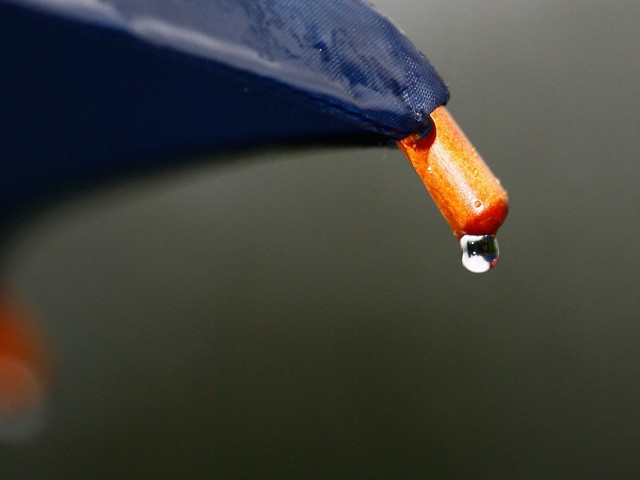 Wassertropfen am Regenschirm geht ins Potsdamer Abwasser